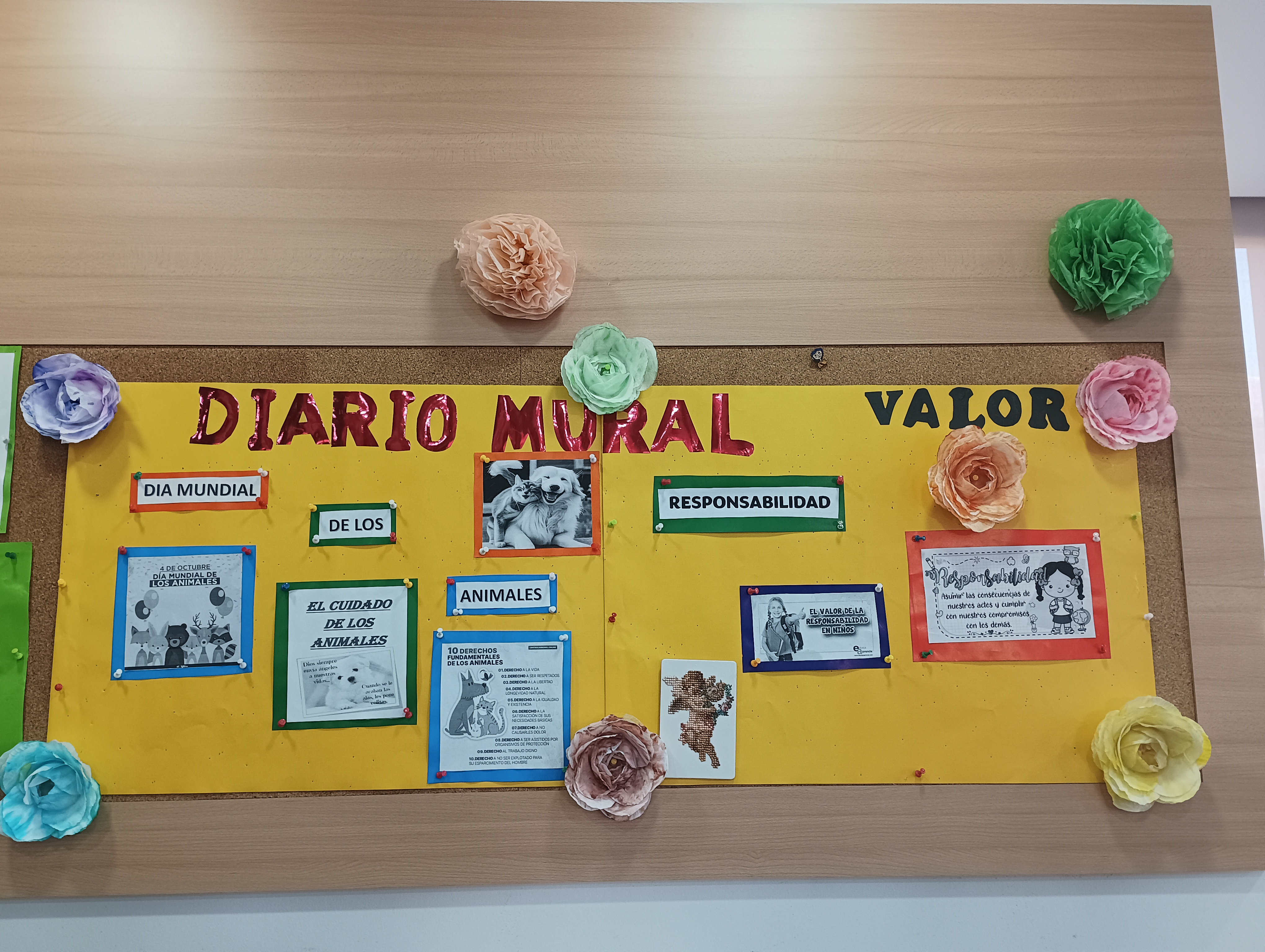 Imagen de Actividades Mes Noviembre